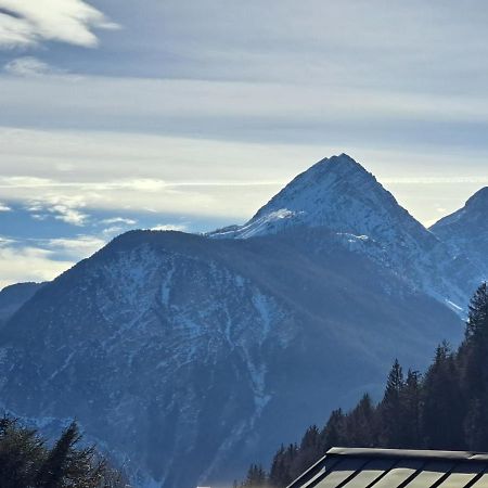 L' Antica Casa Di Maria Lilia Lejlighed Pieve di Cadore Eksteriør billede