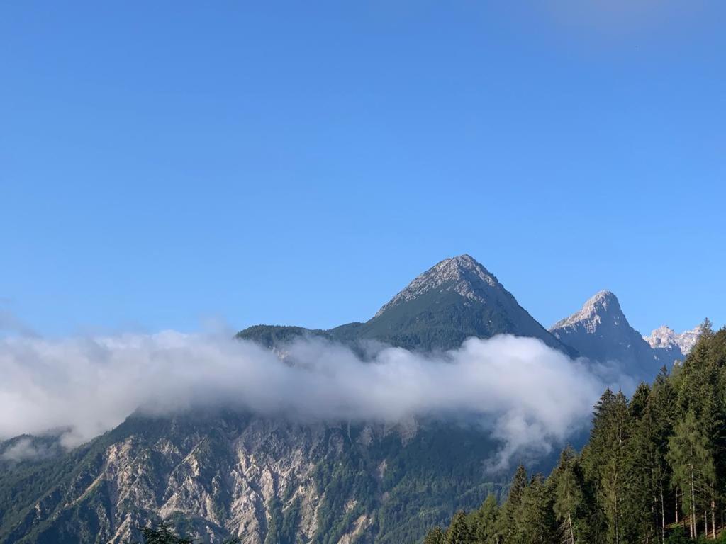 L' Antica Casa Di Maria Lilia Lejlighed Pieve di Cadore Eksteriør billede